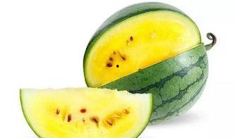 欢迎大家来瓜地免费吃,免费瓜地，等你来尝  第2张